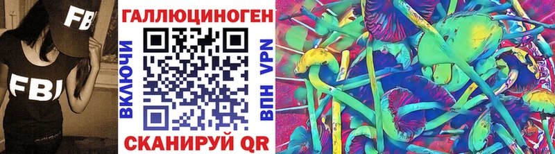 Галлюциногенные грибы Psilocybe  Великий Новгород 